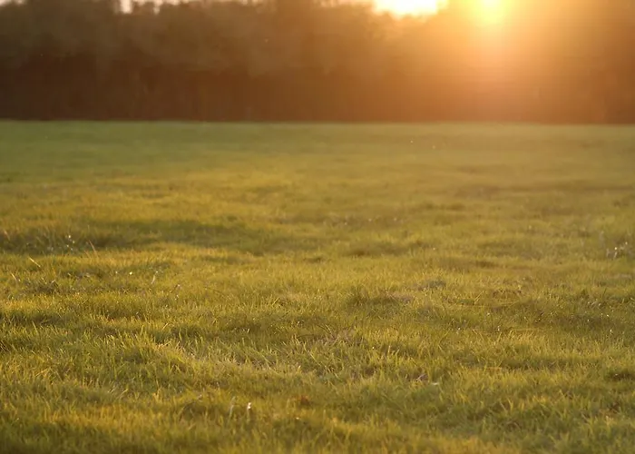Chambres D'hotes Chateau De Serans - Atelier Balias Ecouche